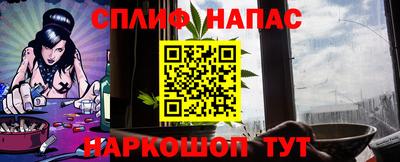 jwh Кингисепп