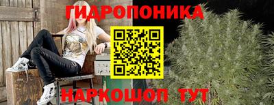 jwh Кингисепп