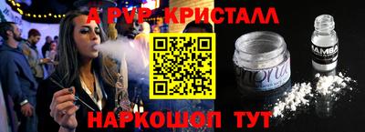 jwh Кингисепп
