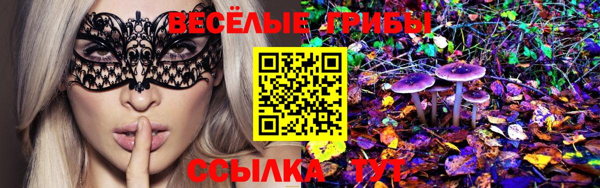 Галлюциногенные грибы ЛСД Бутурлиновка