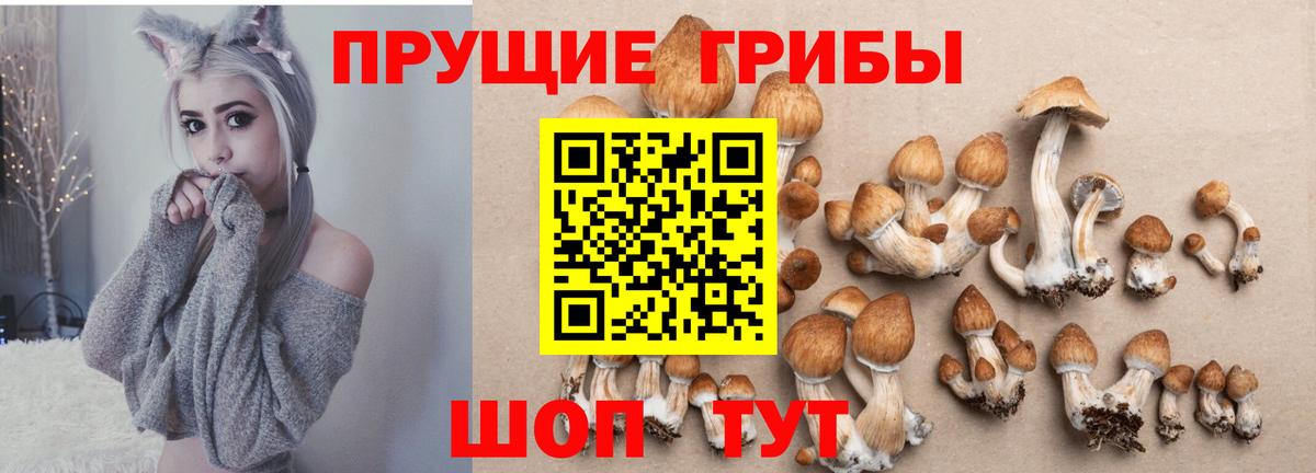 Бутурлиновка  где найти   Вход с VPN  Галлюциногенные грибы мицелий  Псилоцибиновые грибы Psilocybine cubensis 